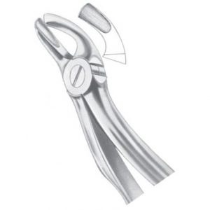 Upper Third Molars